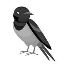 Vector illustration of bird and nightingale icon. Set of bird and small stock symbol for web.