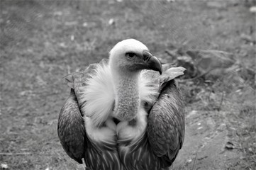 Tierpark Berlin