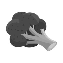 Isolated object of broccoli and nutrition sign. Collection of broccoli and plant stock symbol for web.