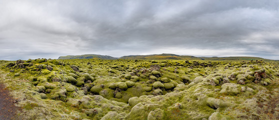 Panorama view of the carpet of moss,musk and lichen over the lava fields. Iceland beautiful...