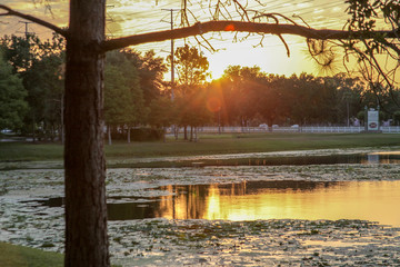 Downtown Celebration, Orlando, Flórida, EUA, o pôr do sol no final da tarde, a linda paisagem do...