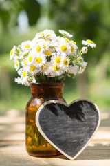 Obraz premium Heart shaped sign with space for greeting text, natural outdoors background