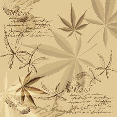 Marijuana. Leaves of a plant. Vintage vector image.