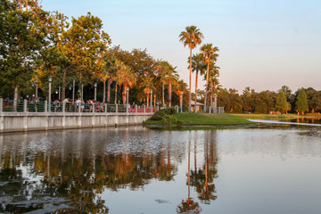 The magnificent sunset landscape at Celebration, Orlando, Florida, USA. A modern design leisure area in a wooded area, the water mirror on the lake reminiscent of nature.