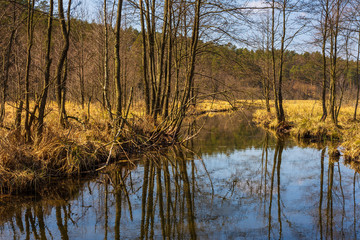 Small river flowing through the lakes, Pelk, Kashubia, Poland.