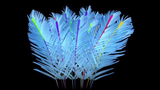 Fractal fern opening. Feathers spreading.  Computer generated procedural growth. Isolated on black with alpha matte