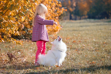  Girl, dog, fun, forest