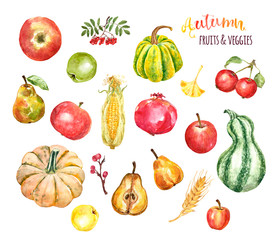 Watercolor autumn seasonal veggies and fruits set, isolated on white background. Hand painted ripe apples, pumpkins, gourds, squashes, pear, pomegranate, corn, berries, wheat. Fall organic plants
