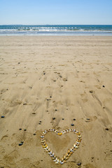 heart of shells like butterflies on beach sand