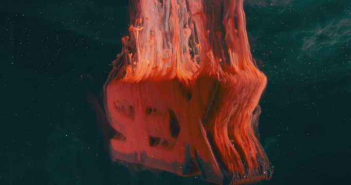 Text SEX. Art Colourful Object in Liquids. Macro.