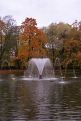 St. Petersburg Russia-10/12/2019: Autumn in Peterhof Park
