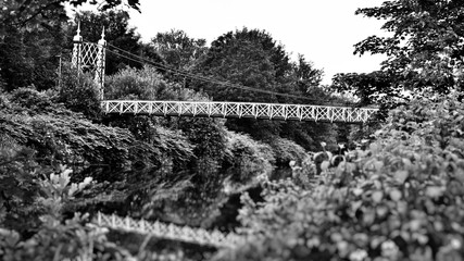 Obraz premium Howley suspension footbridge at victoria park passing over the river mersey. This bridge is around 100 years old and is hidden gem in warrington town, first ever taken this way. England 