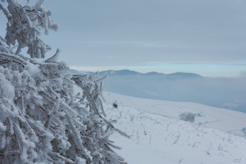 Magic winter fogs in Ukrainian Carpathians overlooking the snow-capped mountain peaks from the picturesque mountain valley with tourists in tents.