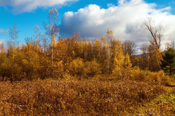 autumn in rural Canada 