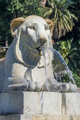  Lion Fountain Piazza Popolo Rome Italy