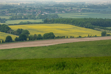 Fototapeta na wymiar Scenic View of Fields and Houses in Oxfordshire, England