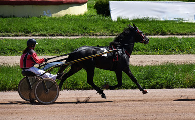racing at the racetrack in the city