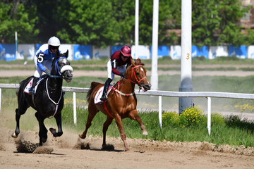 horse racing at a racetrack in a city