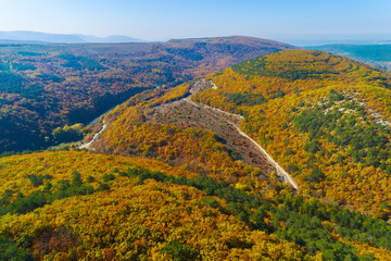 Autumn forest aerial drone view. Green, orange and red colors.