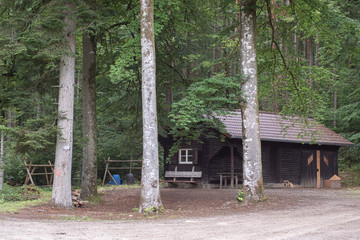 small hunter wooden hut in the forest © Echt&KIreativ