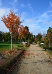 Bunter Herbst im Strandpark vom Seebad Ueckermünde