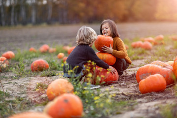 Two little boys having fun in a pumpkin patch - obrazy, fototapety, plakaty