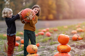 Two little boys having fun in a pumpkin patch
