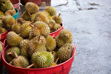 Durian in the market.Taste of durian fruit buffet festival