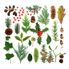 Winter flora and fauna selection forming a square on white background. Traditional natural symbols...