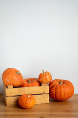 Orange pumpkins in a wooden box on a wooden table on a white background.Halloween, Thanksgiving, Harvest. Selective focus