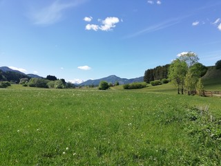 Fototapeta premium Steiermark