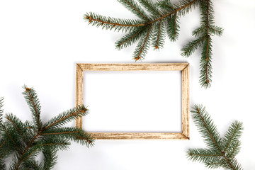 Branches of fir tree and Photo frame