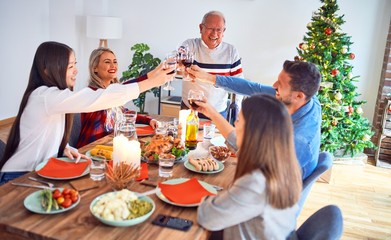 Beautiful family meeting smiling happy and confident. Eating roasted turkey and toasting with cuo of wine celebrating Christmas at home