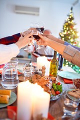 Beautiful family meeting smiling happy and confident. Eating roasted turkey and toasting with cuo of wine celebrating Christmas at home