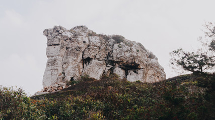 rocky mountain in the middle of the vegetation