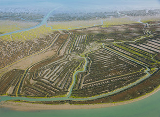 Aerial view on marshlands, Bahia de Cadiz Natural Park. Costa de la Luz, Cadiz province, Andalucia, Spain © JUAN CARLOS MUNOZ