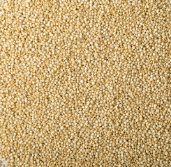 Quinoa Seeds Background or Chenopodium Quinoa Texture