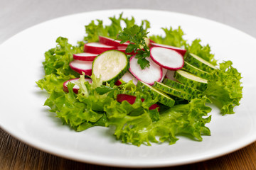 Spring Radish Salad with Cucumber or Simple Rustic Salat