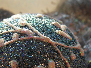       Christmas toys New Year. background. celebration. snowflake on christmas tree. glitter.       