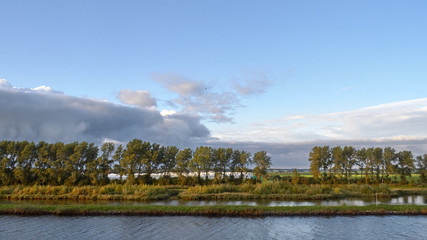 Linea de arboles a la ribera de un canal de Holanda