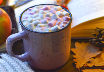 marshmallows with cocoa in a mug