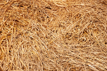 Hay background. Hay in the village closeup texture