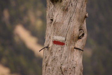 Hiking signal to follow the right path