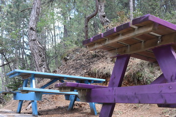 Naklejka premium bench