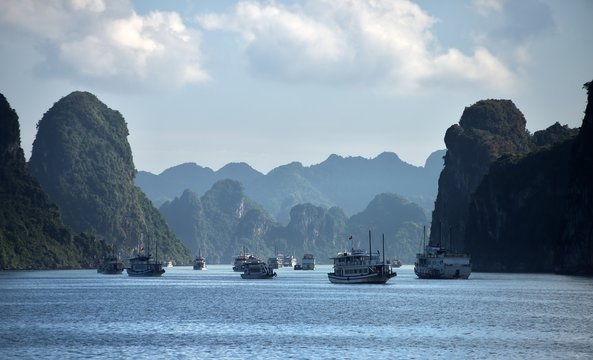Group of vietnamese boats anchored in lush bay. Ha Long Bay - Vietnam 