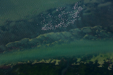 Aerial view, marshlands, Bahia de Cadiz Natural Park. Costa de la Luz, Cadiz province, Andalucia,...