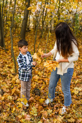 Naklejka na ściany i meble mom and son collecting leaves in autumn park. copy space