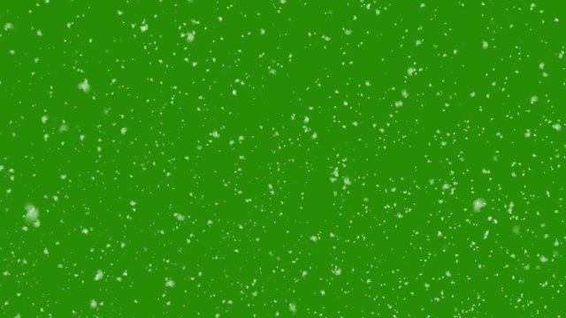 Isolated falling snow on Chromakey Green Screen