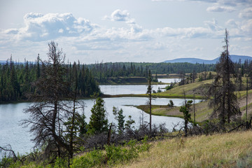 Trees and Ridge Lakes
