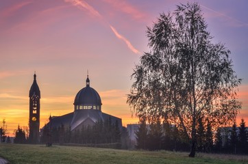 Fototapety na wymiar - Fototapeta24.pl